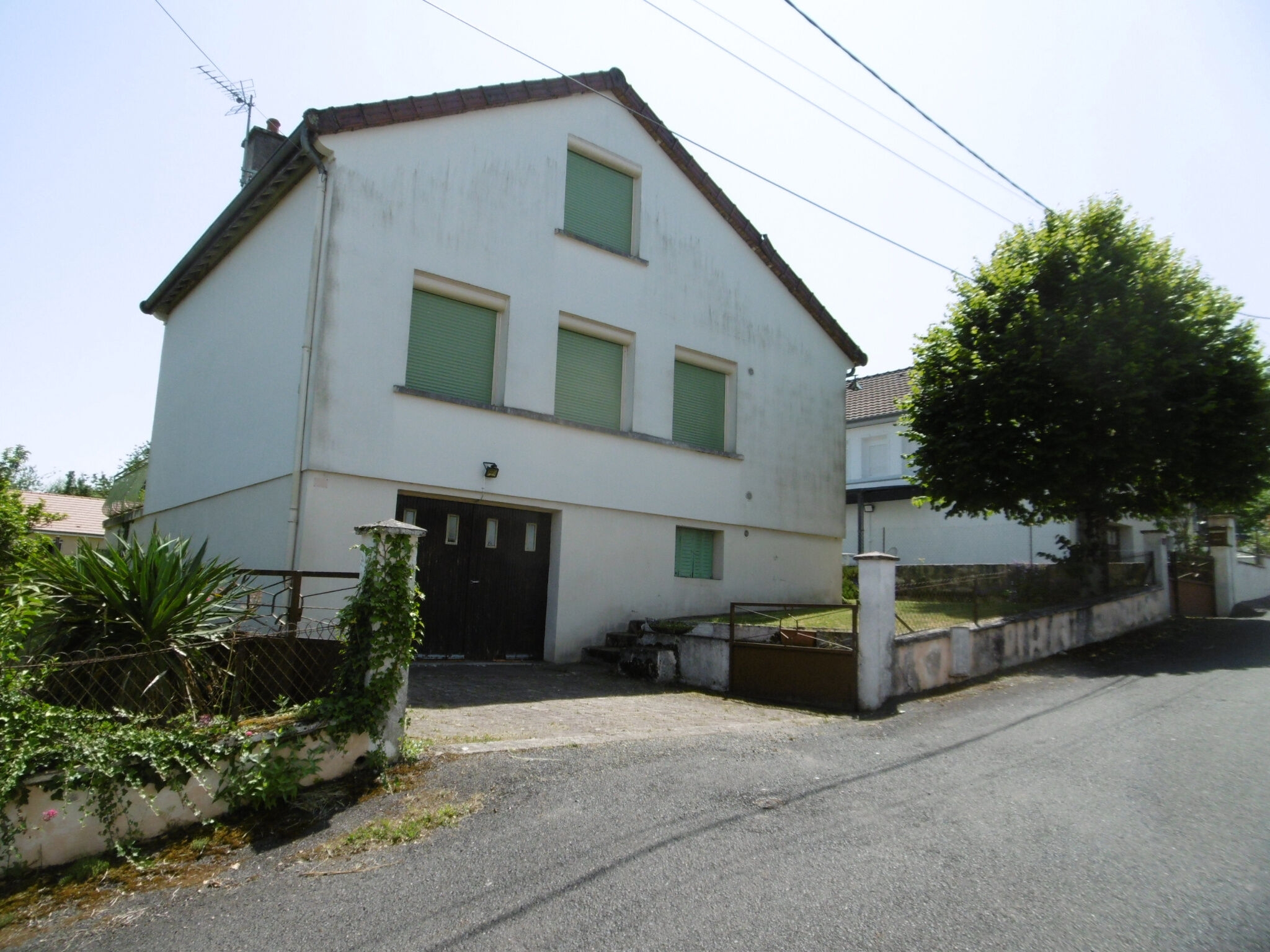 Photo 3