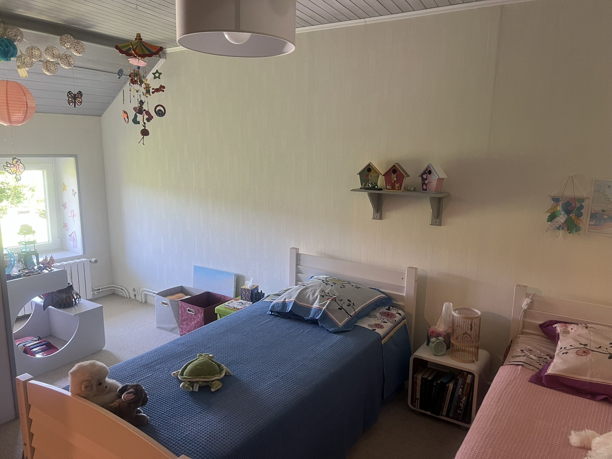 Photo 19