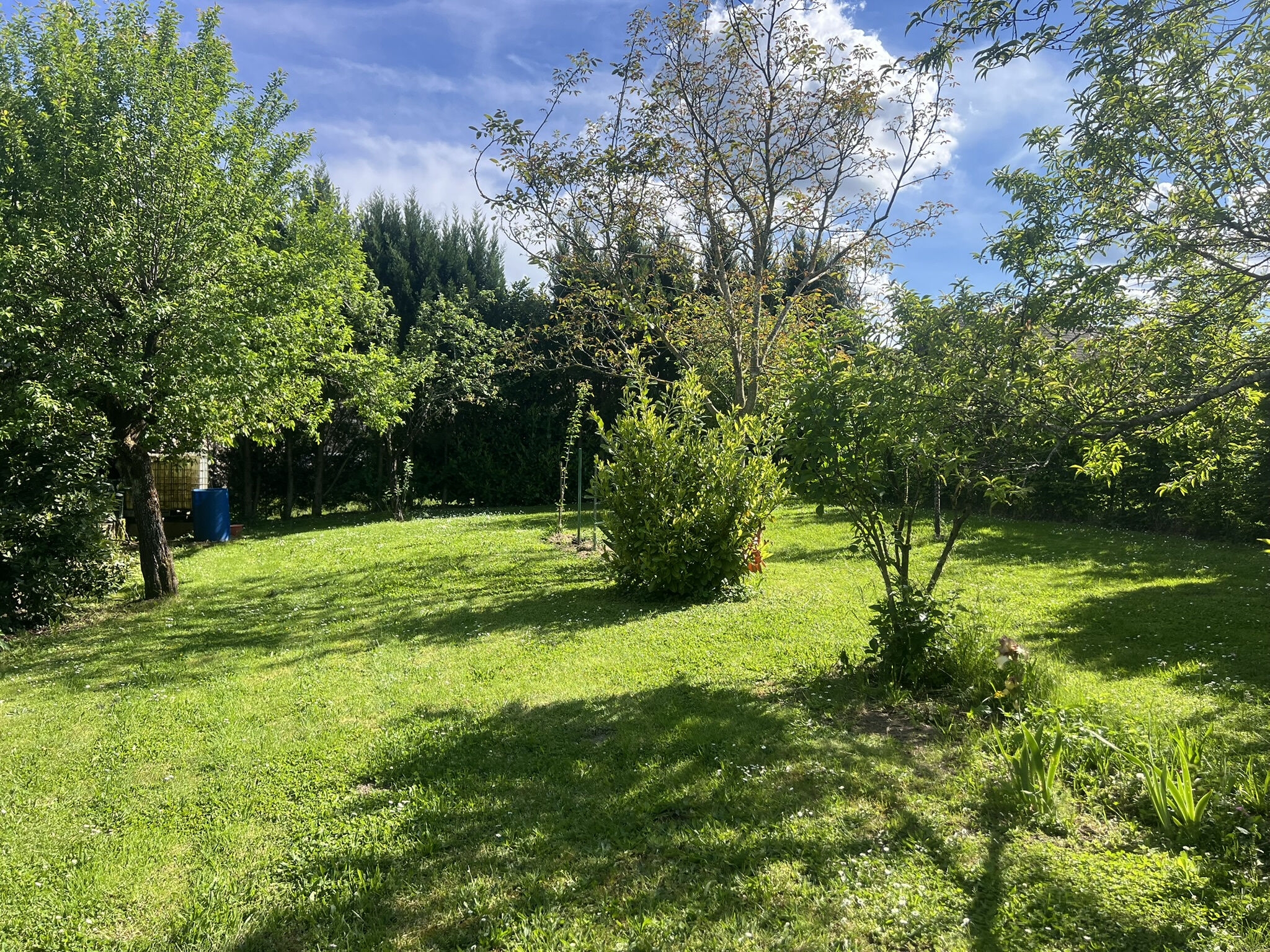 Photo 28