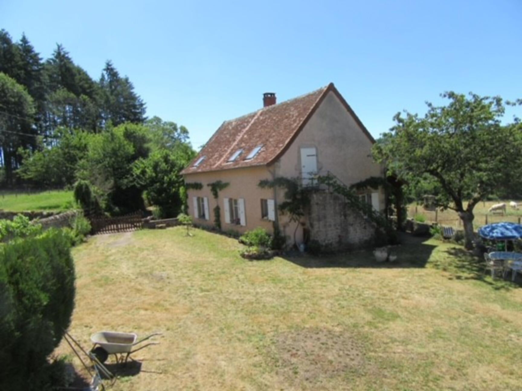 Photo 6