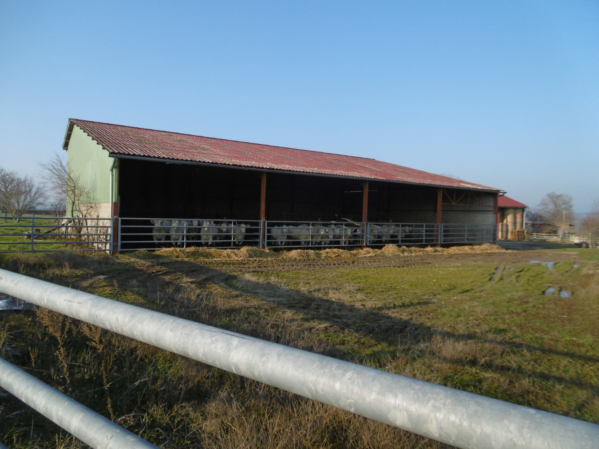 Photo 6