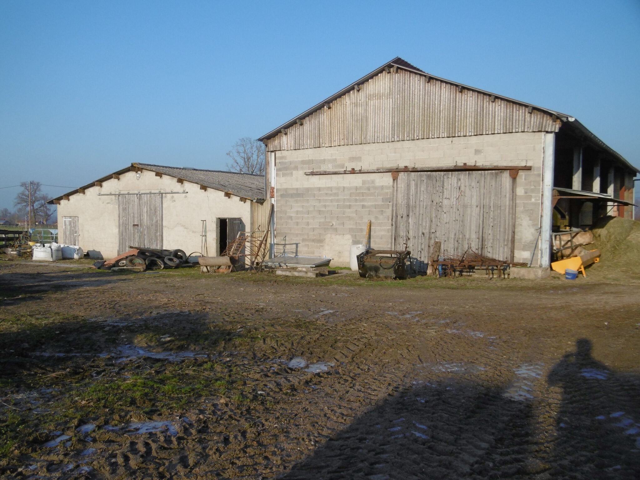 Photo 8