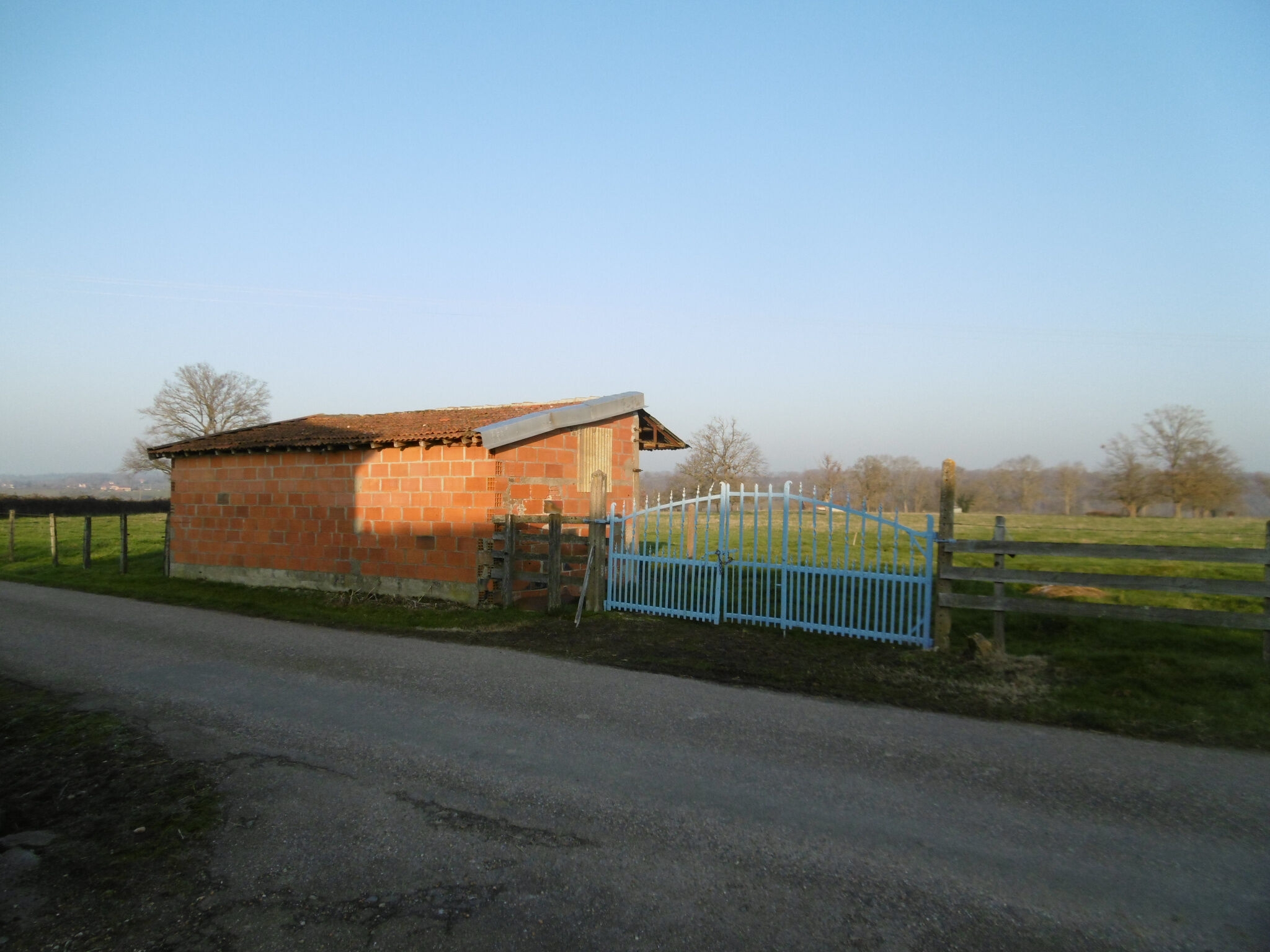 Photo 15