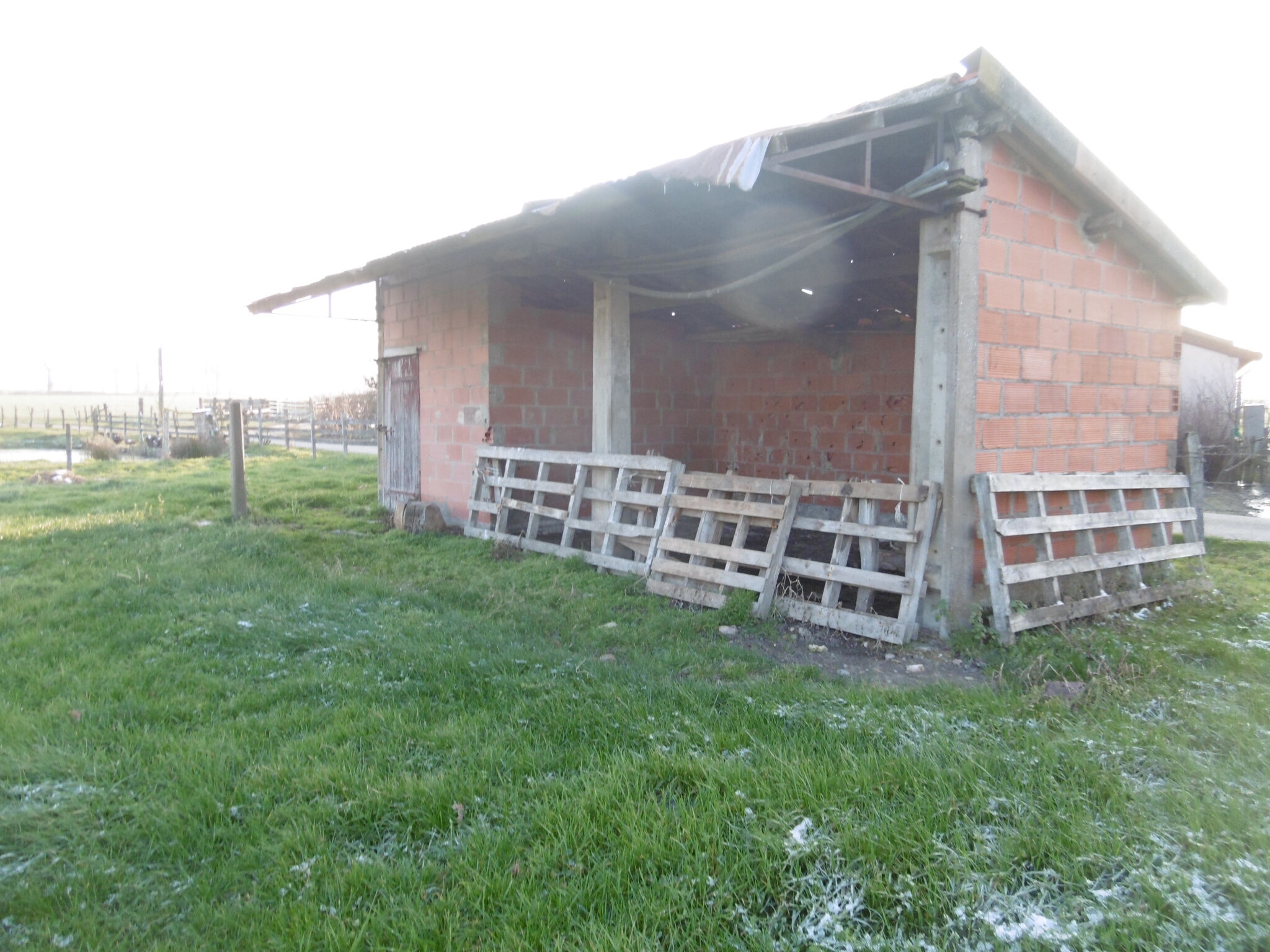 Photo 16