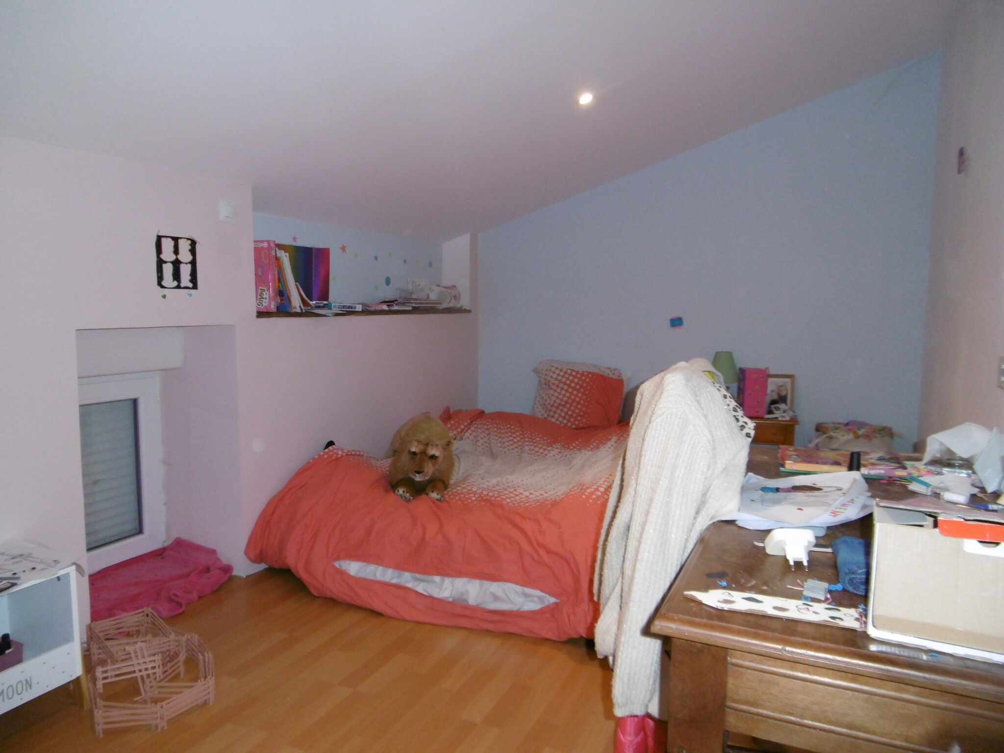 Photo 17