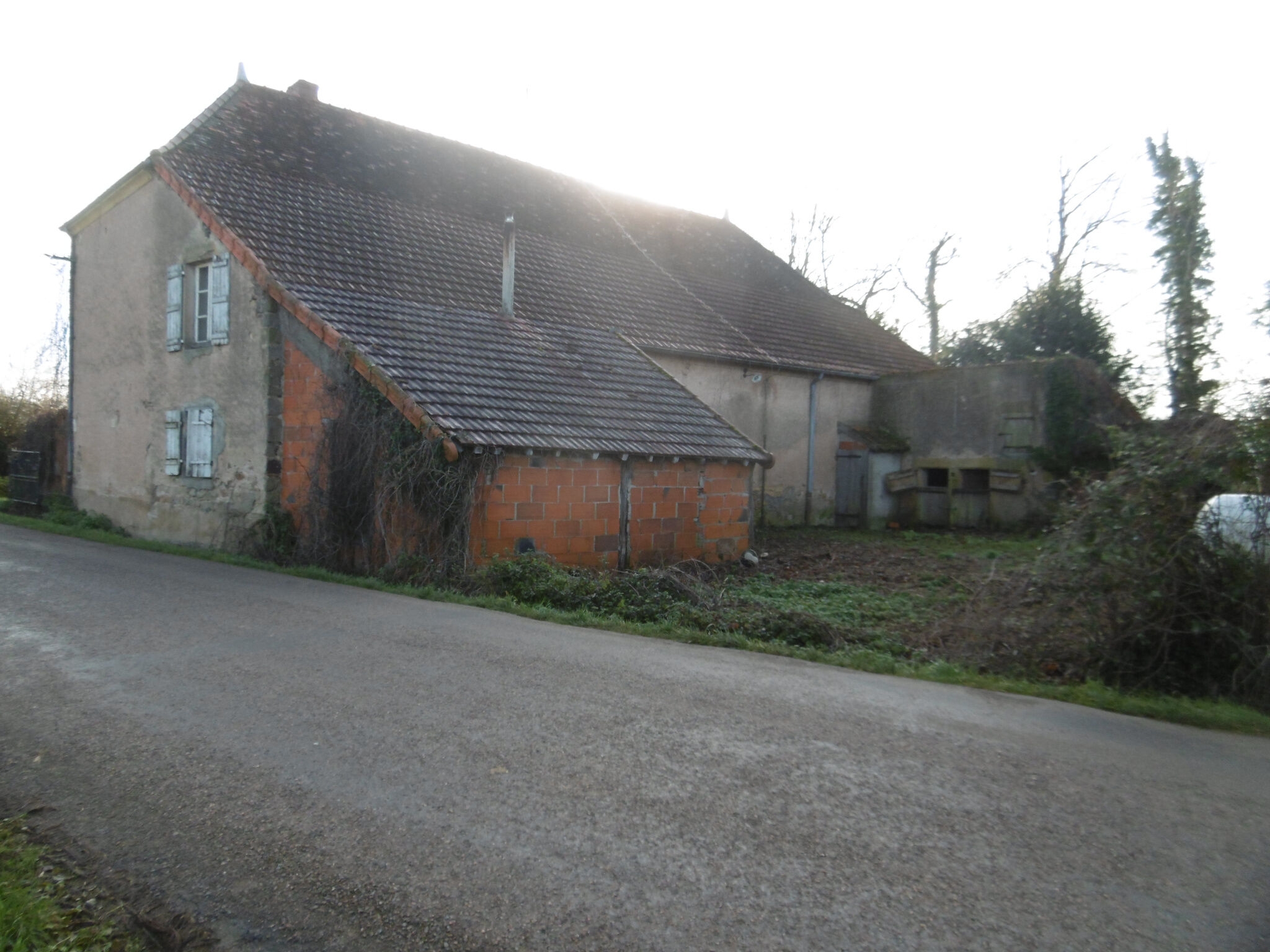 Photo 19