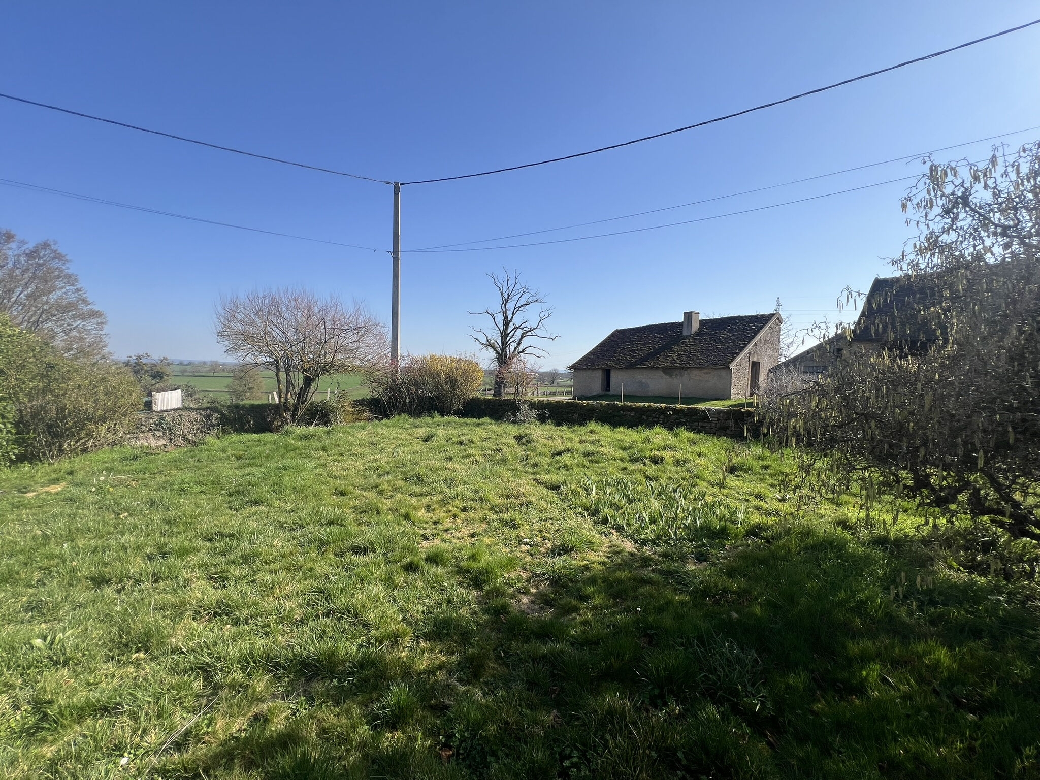 Photo 20