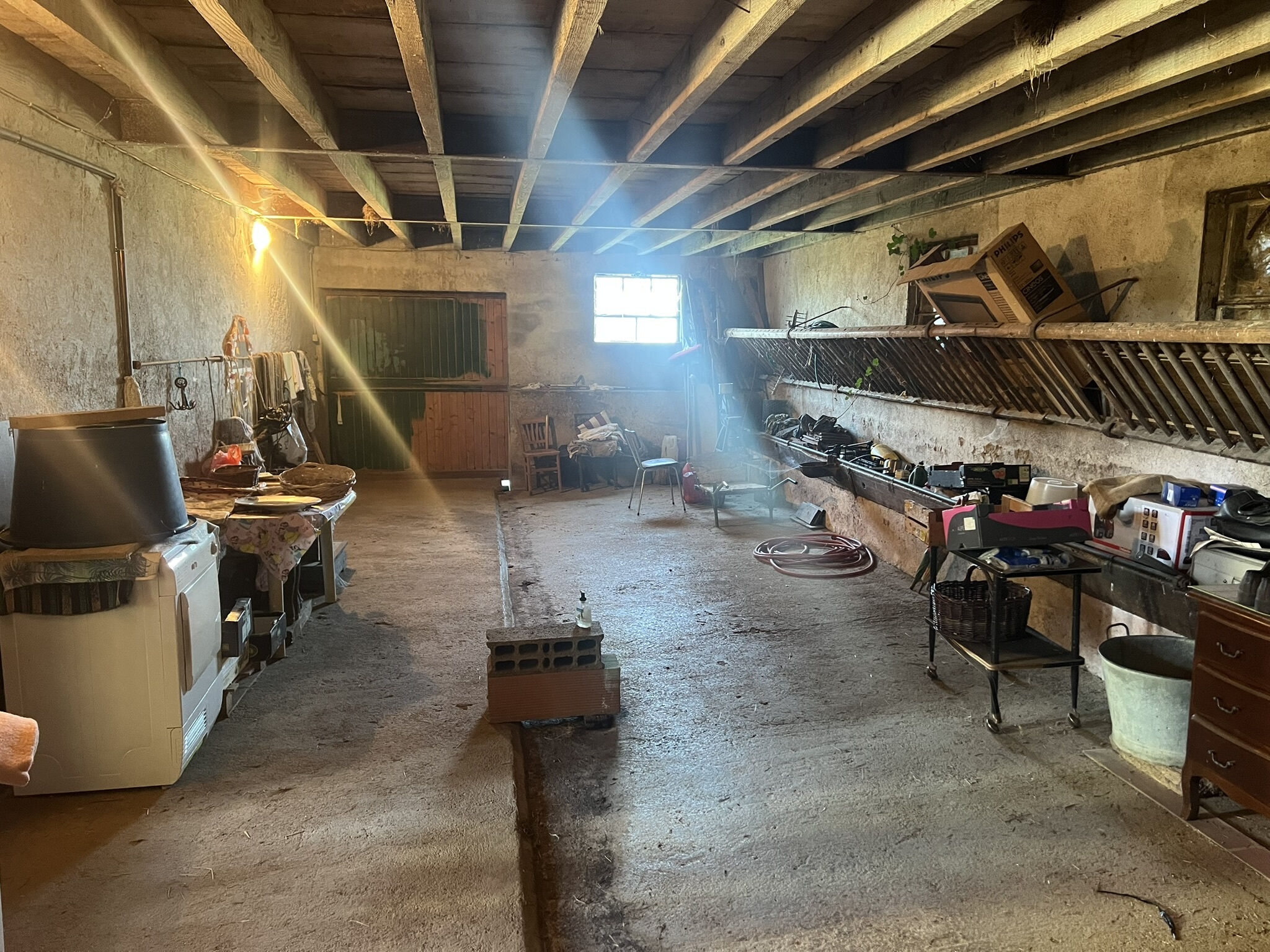 Photo 16