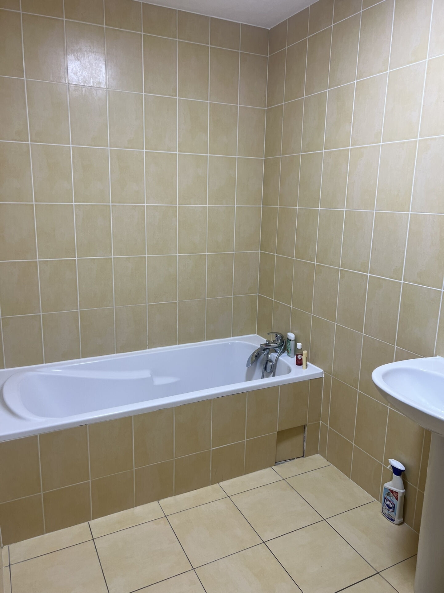 Photo 16