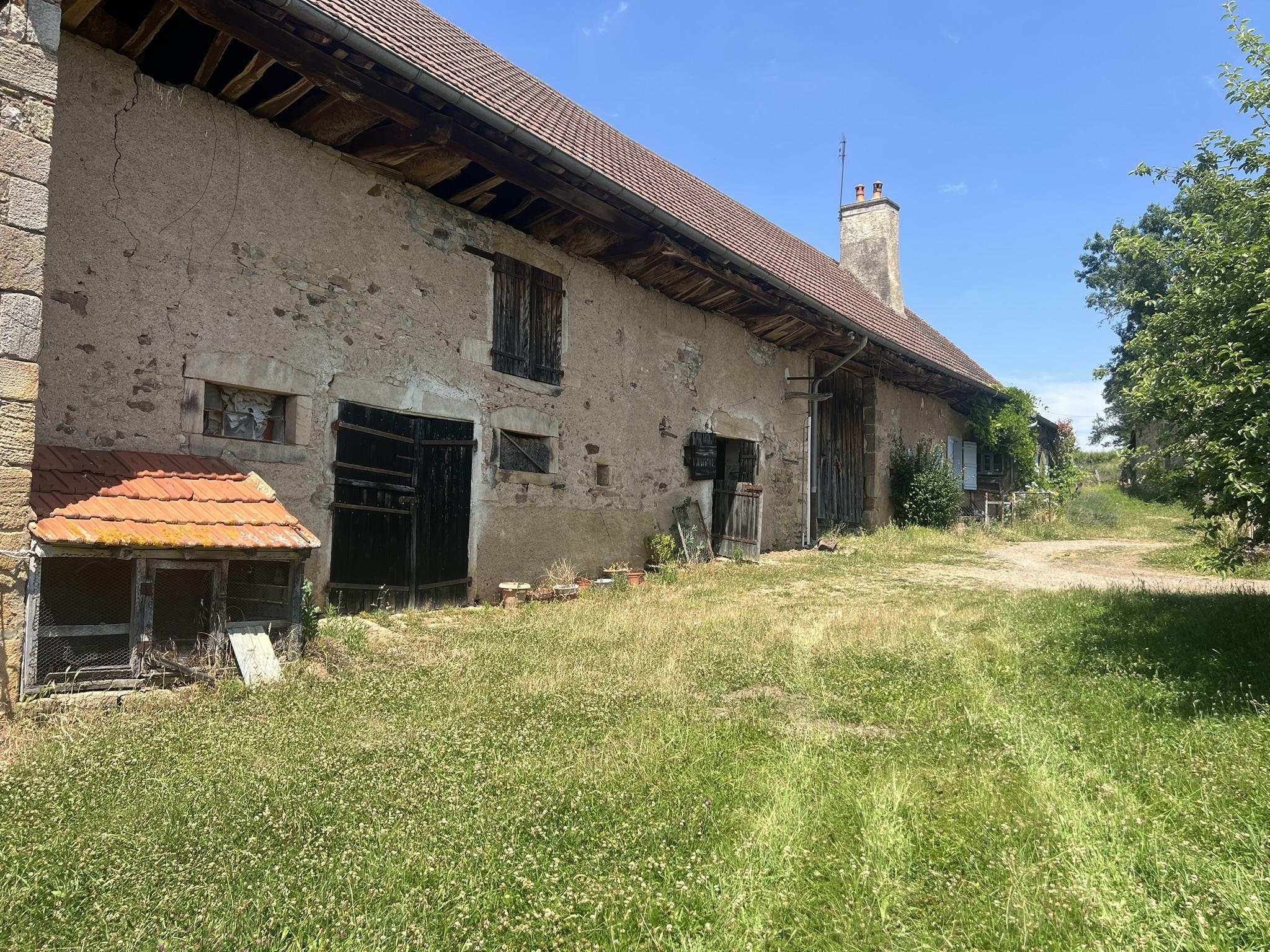 n°10
