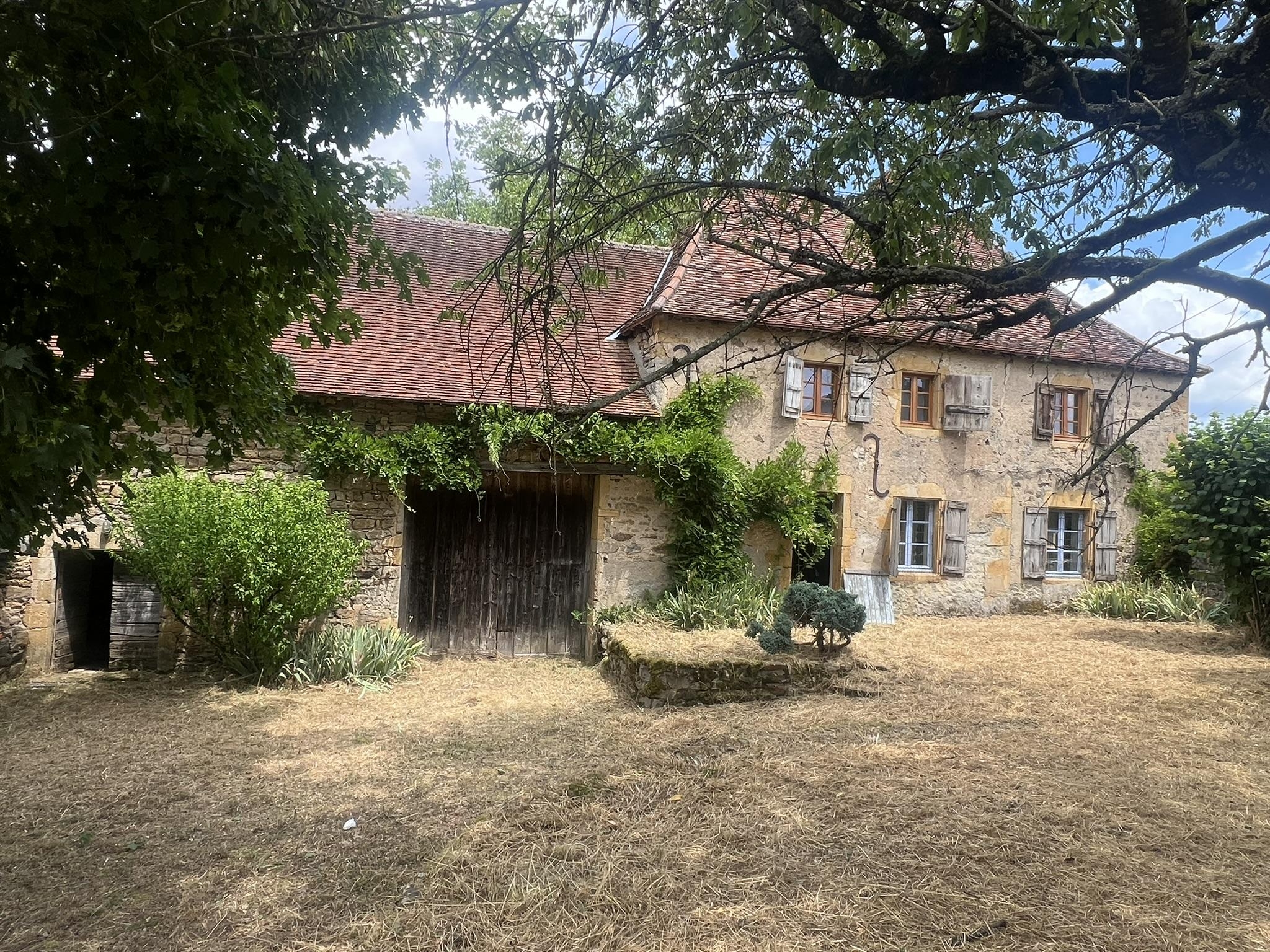n°5