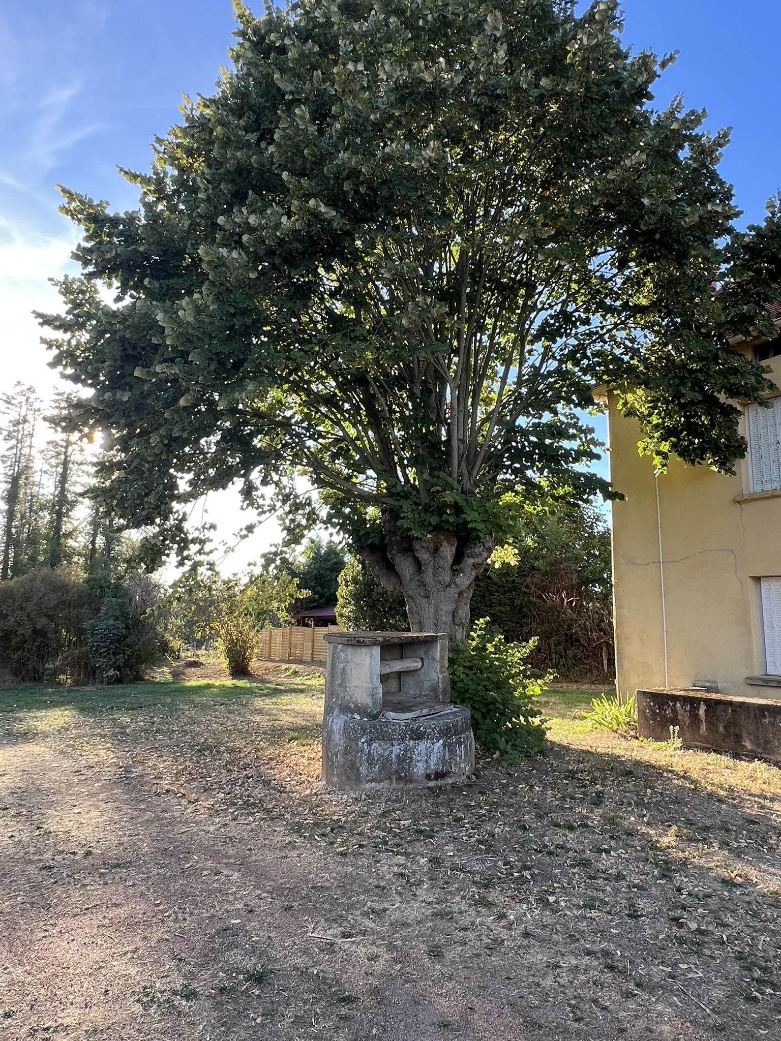 n°14
